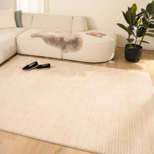 Vloerkleed strepen - Fancy Lines beige